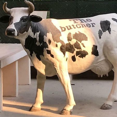 Ferienwohnung The Butcher-Ducati And Airport Blq Bologna Exterior foto